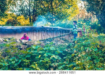 Sankri Range, Uttarakhand, India - October 7, 2018 : Photo Of Working People In Himalayas -