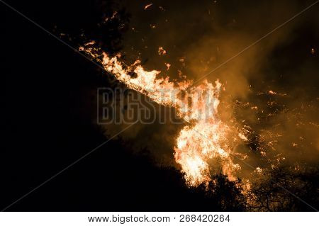 Bright Orange Flames Burning Brush At Night In Close Image During California Wildfire.