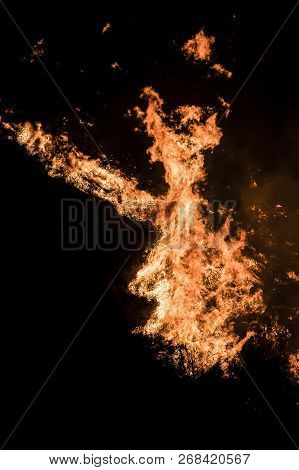 Bright Orange Wildfire Flames Twist Into Shapes On Black Background.