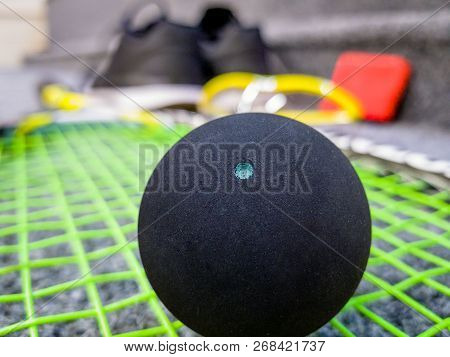 Single Dot Squash Ball On Racquet Stings