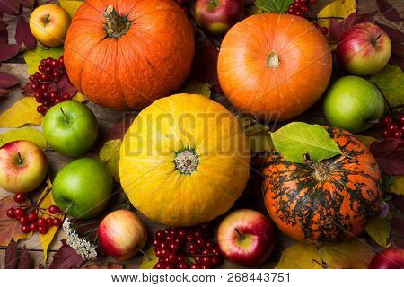Fall Background With Yellow Pumpkin And Viburnum