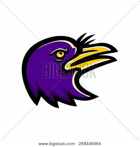 Mascot Icon Illustration Of Head Of An American Crow, A Large Passerine Bird Species Of The Family C