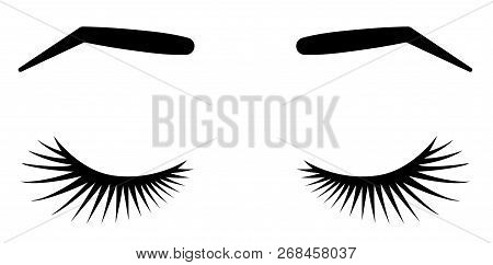 Brows And Lashes. Vector Illustration Of Lashes And Brows. For Beauty Salon, Lash Extensions Maker, 