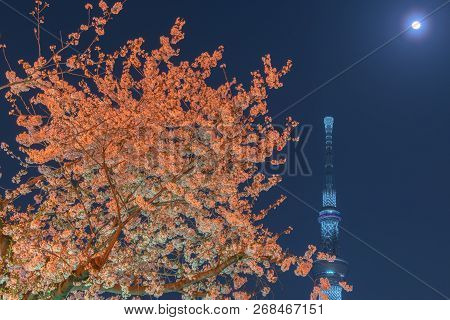 Tokyo, Japan - March 29, 2018: Tokyo Skytree Tower With Cherry Blossoms In Full Bloom At Sumida Park