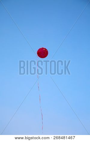Helium Balloons. Colorful helium balloons. Floating away in the blue sky. Birthday Balloons. Party Time.
