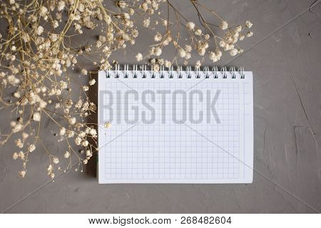 Empty Notebook And Dry Flower On Gray Background. Flay Lay Copy Space.
