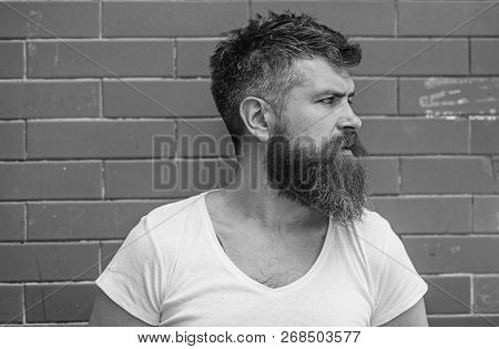 Stylish Bearded Hipster. Beard Grooming Has Never Been So Easy. Beard Care Tricks Will Keep Your Fac
