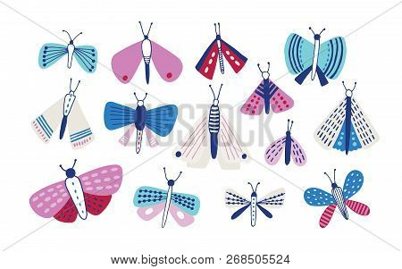 Collection Of Moths Of Different Types And Sizes Isolated On White Background. Set Of Nocturnal Flyi