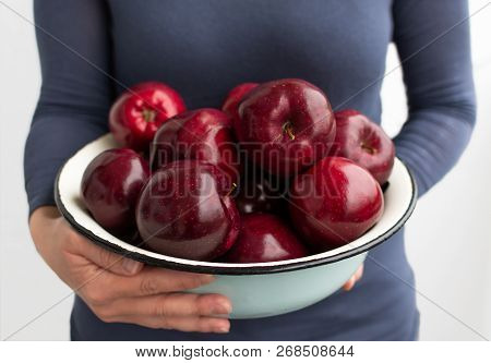 Metal Bowl With Fresh Red Apples In Female Hands, Autumn Or Summer Garden Apples