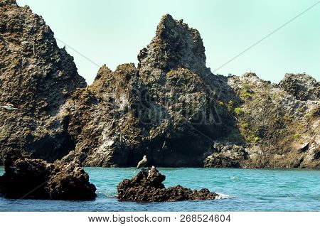 Volcanic Rock - Floreana Island - Galapagos