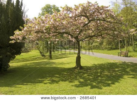 Park
