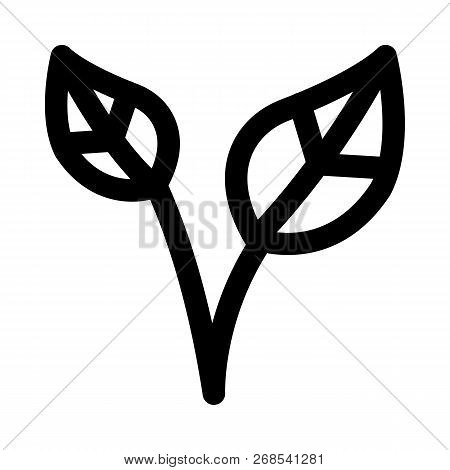 Leaves With Stem Branch Part Attaches To Point