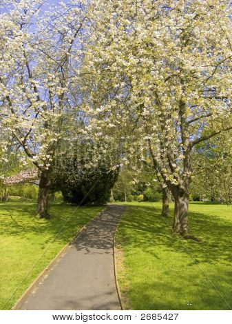 Park
