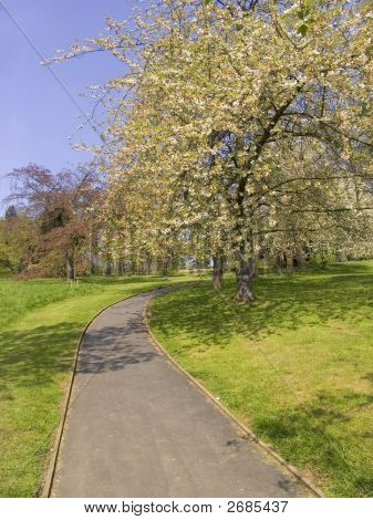 Park