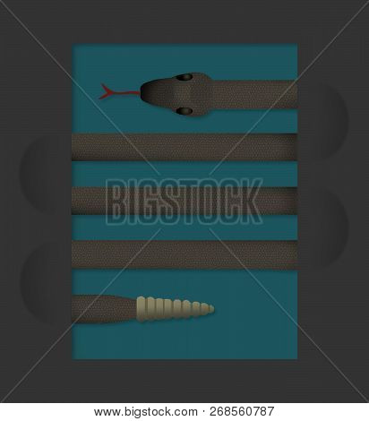 A Snake Looks Like Lines On A Page In This Interesting Look At Serpents.