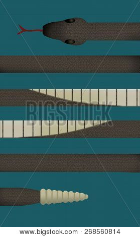 A Snake Looks Like Lines On A Page In This Interesting Look At Serpents.