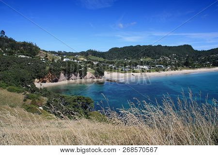 Coromandel Landscape In New Zealand. Hahei Beach.