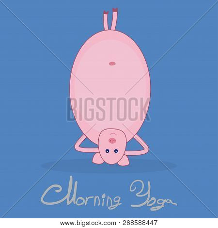 Morning Yoga With A Pig. Pig Standing On His Head. Light Blue Background. The Text Under The Picture