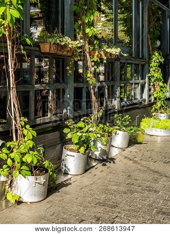 Plants And Flowers In Tubs And Buckets Adorning The Facade Of A Public Place