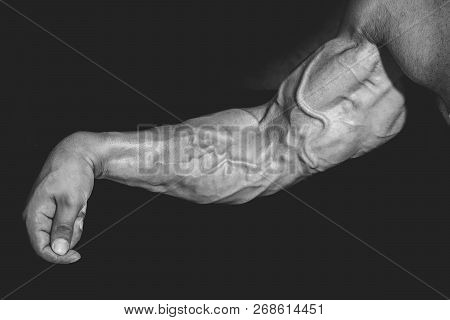 Arm With Muscles, Biceps, Triceps And Veins On Black Background. Power, Strength Concept. Sport, Fit