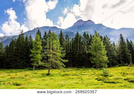 Beautiful Nature Scenery At Lake Pillersee With Deep Forest And Seehorn Mountain, Sankt Ulrich Am Pi
