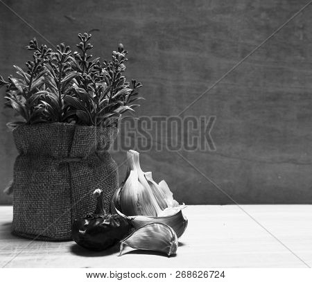Plant, Garlic And ñora, Black And White
