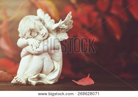 Close Up Of Guardian Angel And Autumn Leaf