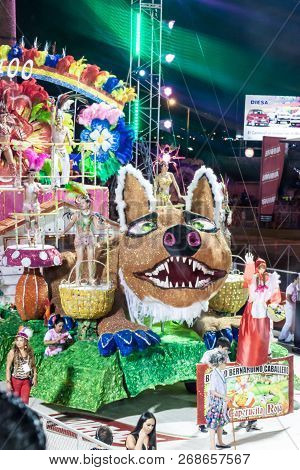 Encarnacion, Paraguay - Feb 8, 2015: Participants Of A Traditional Carnival In Encarnacion, Paraguay