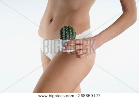 Girl In White Bikini Holds A Cactus Bikini Zone Hair Removal Hair Removal.