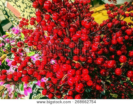 Closeup Of Beautiful Light Christmas Decoration With Red Rowan And Fir Tree Branches. Flowers In The