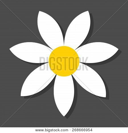 Chamomile Flat Vector Icon On A Grey Background With Shadow.