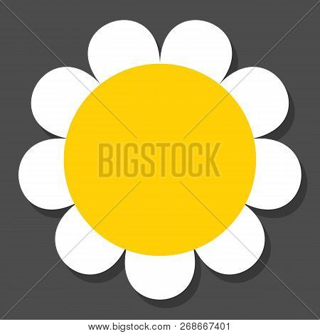Chamomile Flat Vector Icon On A Grey Background With Shadow.