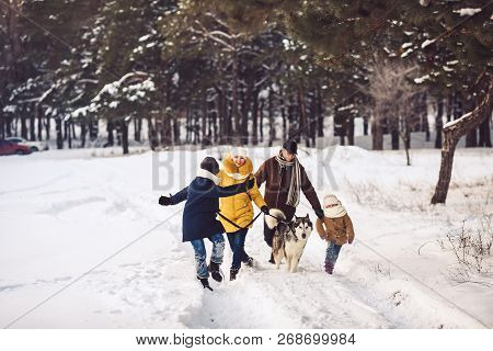 Happy Young Caucasian Family Is Having Fun Running With The Dog In The Winter In A Pine Forest. The 