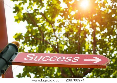 Pointer With Arrow Shows The Direction To Success In Summer Forest With Lights Of Sun