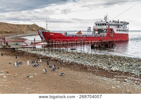 Isla Magdalena, Chile - March 4, 2015: Ferry With Tourists Arrives At Penguin Colony On Isla Magdale