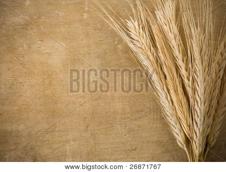 耳朵穗的小麦的木材纹理背景