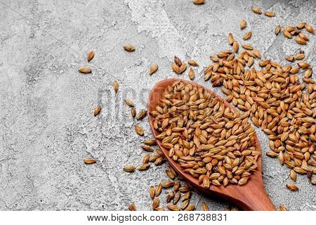 Malted Grains In A Wooden Spoon Closeup. Mixed Varieties Of Malted Grain On A Gray Background. Close