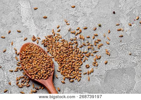 malted grains in a wooden spoon closeup. Mixed varieties of malted grain on a gray background. close-up. top view. flat lay. series of photos. space