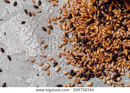 Malted Grain Closeup. Mixed Varieties Of Malted Grain On A Gray Background. Close-up. Top View. Flat