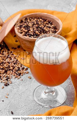 Malt grain and a glass of beer. Mixed varieties of malted grain on a gray background. close-up. top view. flat lay. series of photos. space
