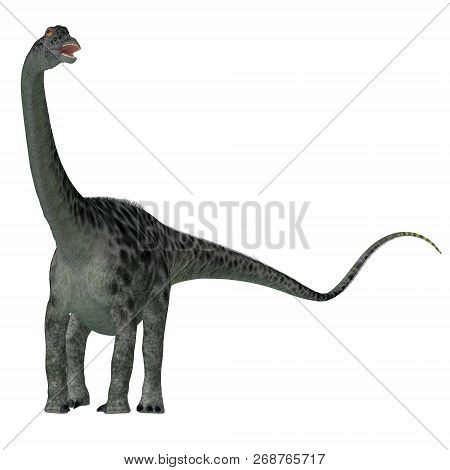 Diplodocus Dinosaur Tail 3d Illustration - Diplodocus Was A Sauropod Herbivorous Dinosaur That Lived