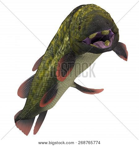 Dipterus Fish Head 3d Illustration - Dipterus Was A Freshwater Fish Species That Lived In Swamps And