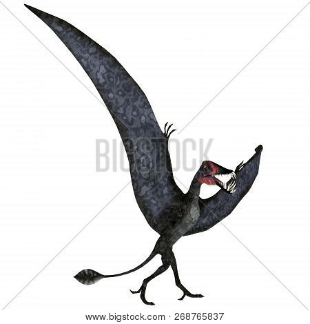 Dorygnathus Pterosaur On Ground 3d Illustration - Dorygnathus Was A Carnivorous Pterosaur Reptile Th