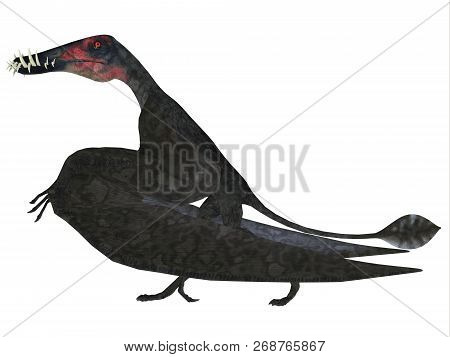 Dorygnathus Pterosaur Side Profile 3d Illustration - Dorygnathus Was A Carnivorous Pterosaur Reptile
