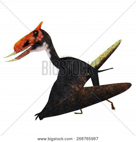 Dsungaripterus Pterosaur Walking 3d Illustration - Dsungaripterus Was A Pterosaur Raptor Bird That L