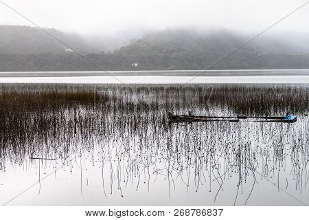 Cucao Lake In Chiloe National Park, Chile