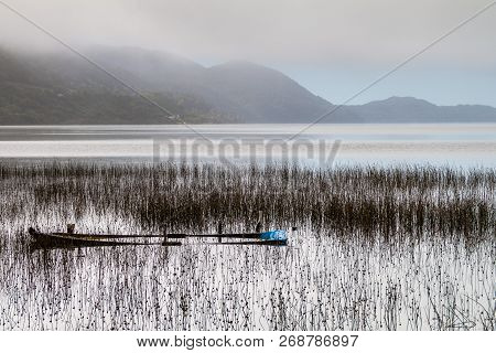 Cucao Lake In Chiloe National Park, Chile