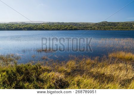 Cucao Lake In Chiloe National Park, Chile