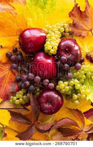 Top View On Red Juicy Ripe Apples With Grapes And Maple Leaves , Autumn Background