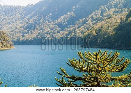 Lago Verde Lake In National Park Huerquehue, Chile